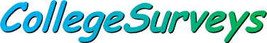 SchoolSurveys Logo